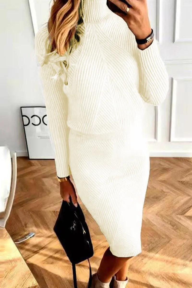 Casual Solid Basic Turtleneck Long Sleeve Two Pieces(5 Colors)