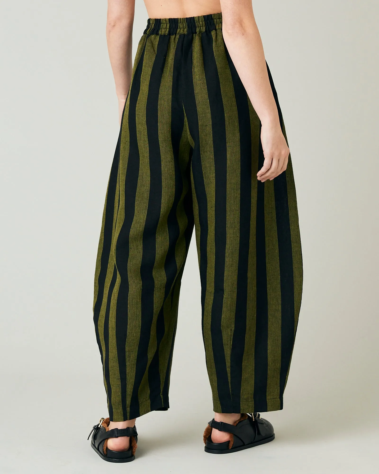 Daisy Black & Olive Stripe