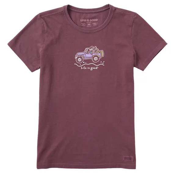 Life Is Good Women's Tee, Mahogany Brown (Size M)