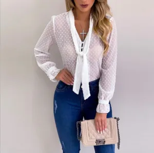 Long Sleeve V-Neck Sheer Blouse