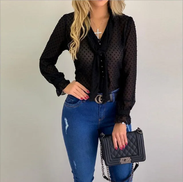 Long Sleeve V-Neck Sheer Blouse