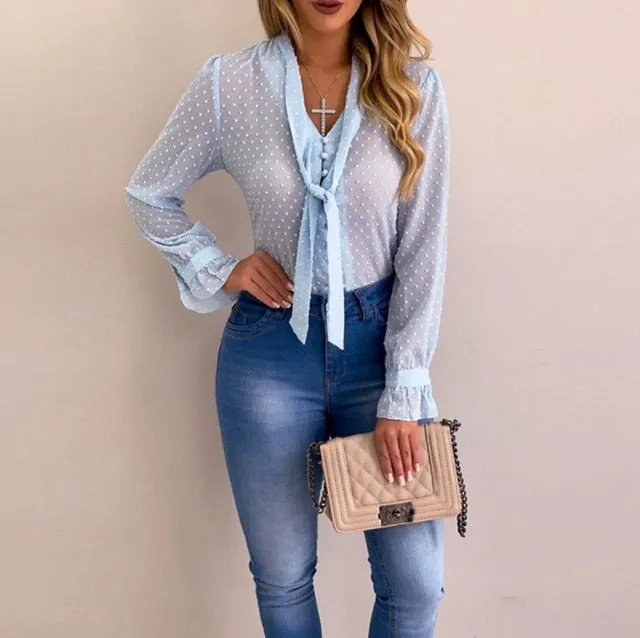 Long Sleeve V-Neck Sheer Blouse