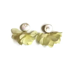 Primrose Blooms - Yellow