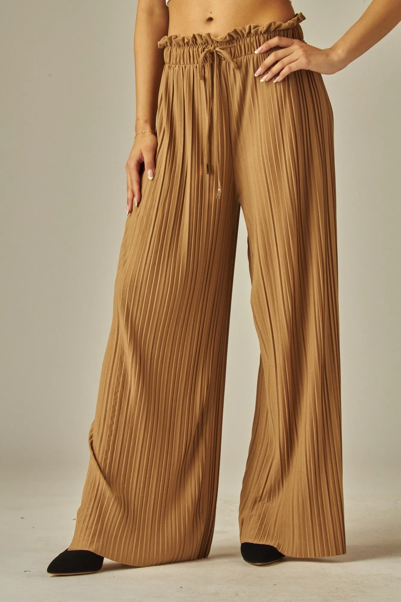 Tanin Pleated Paper Bag Drawstring Wide Leg Pants 2/14/25 9621