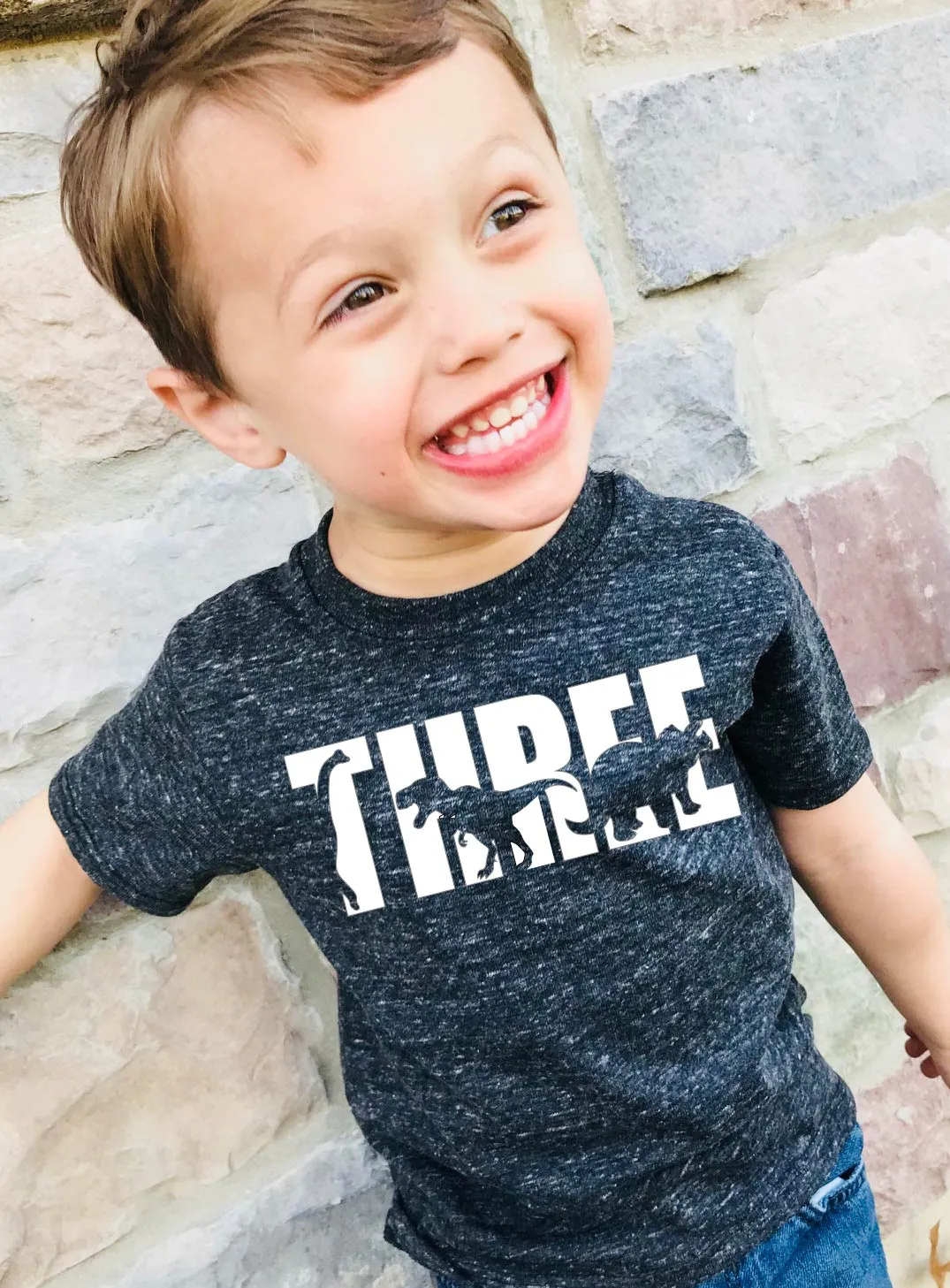 Three Dinosar Birthday Shirt Shirt