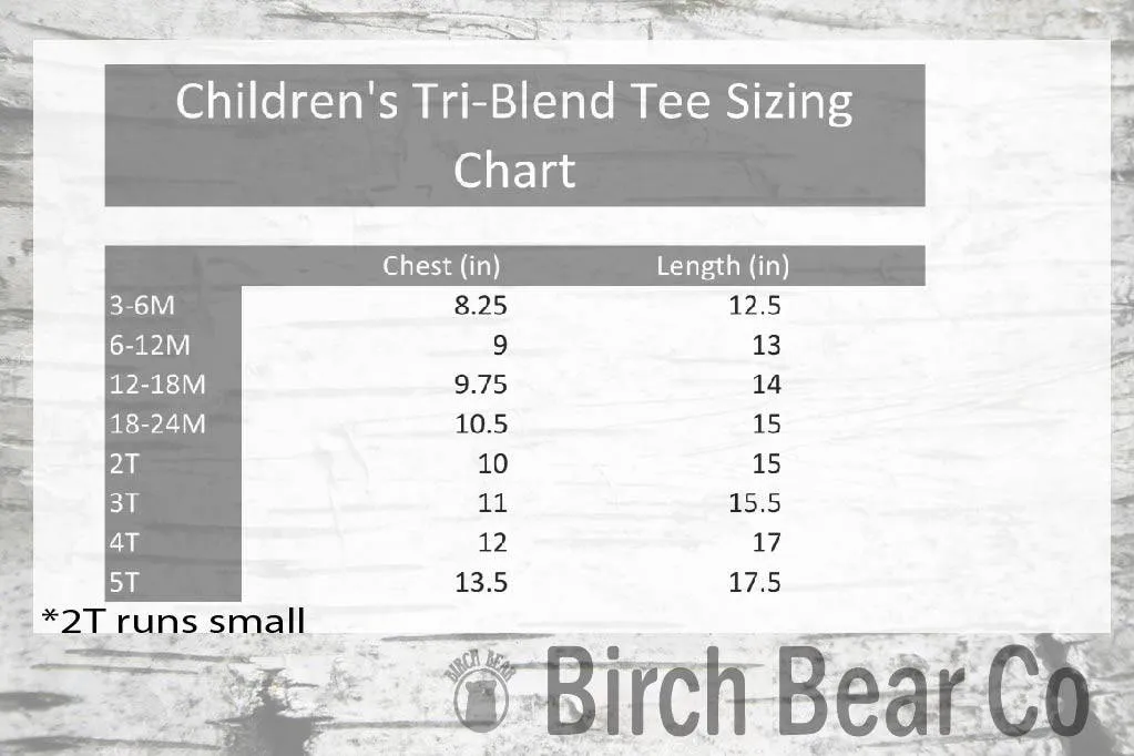 Three Dinosar Birthday Shirt Shirt