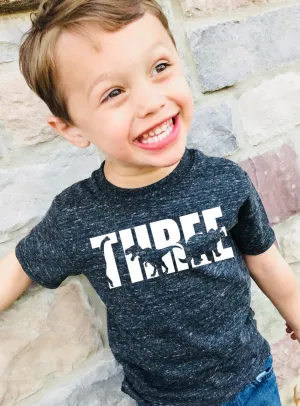 Three Dinosar Birthday Shirt Shirt