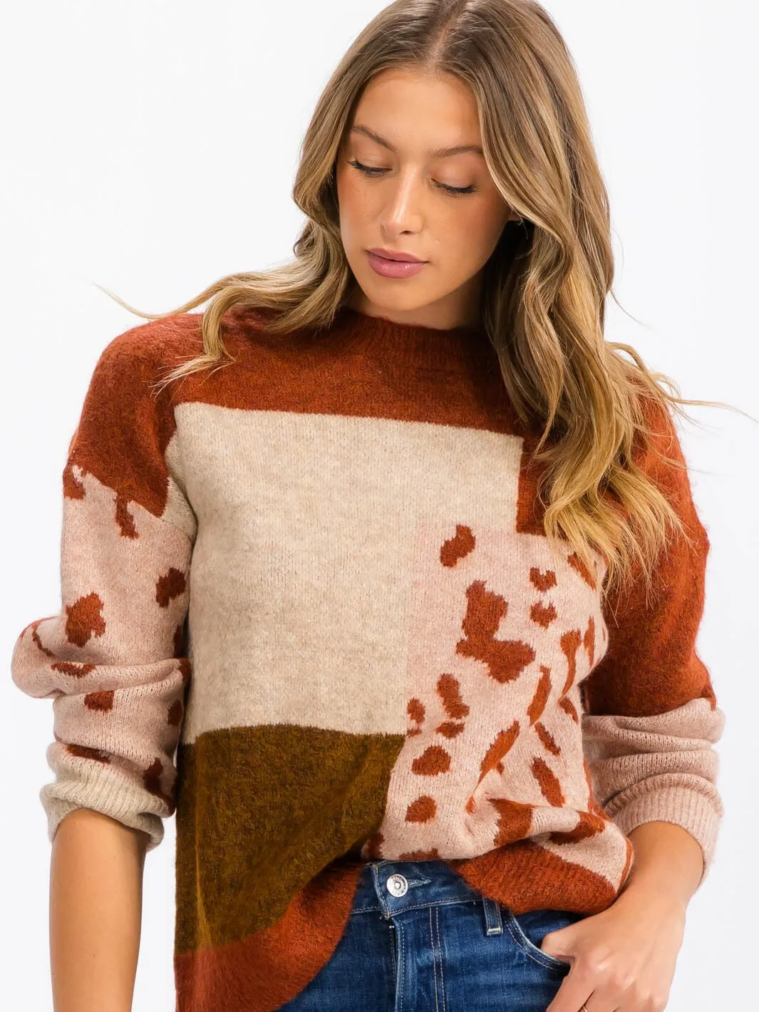 WOMEN'S LONG SLEEVE COLORBLOCK ANIMAL PRINT PULLOVER SWEATER
